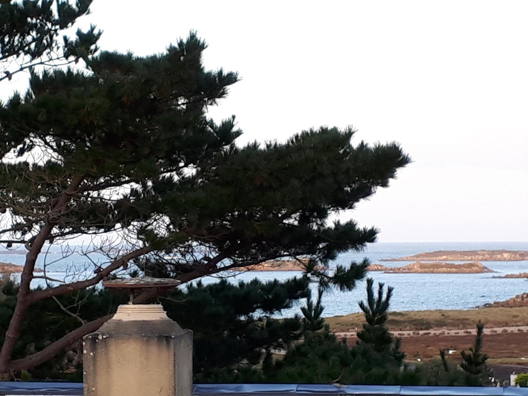 Hostel Granit Rose: Seaside Youth &